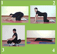 Gráfico de ejercicio Estiramiento (espalda, lumbar, dorsal, oblicuo...)